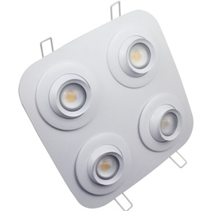 36W Angle Variable LED Down Light