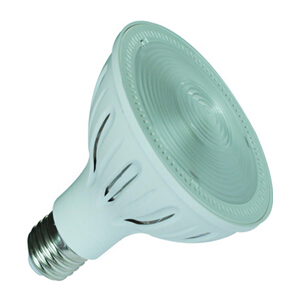 PAR30 LED Lamp