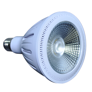 PAR38 LED Lamp