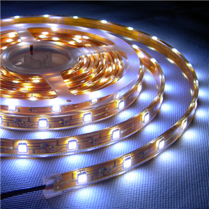 5050 LED Flexible Strips IP68 Waterproof