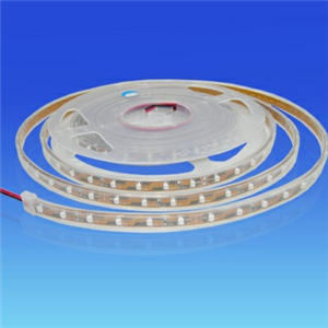 3528 LED Flexible Strips IP67 Waterproof Silicone Tube